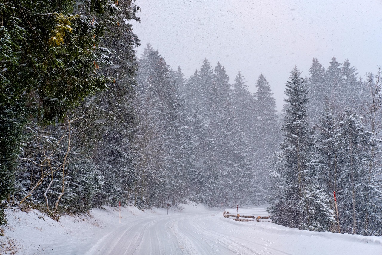 Lemgo rutscht in die neue Woche