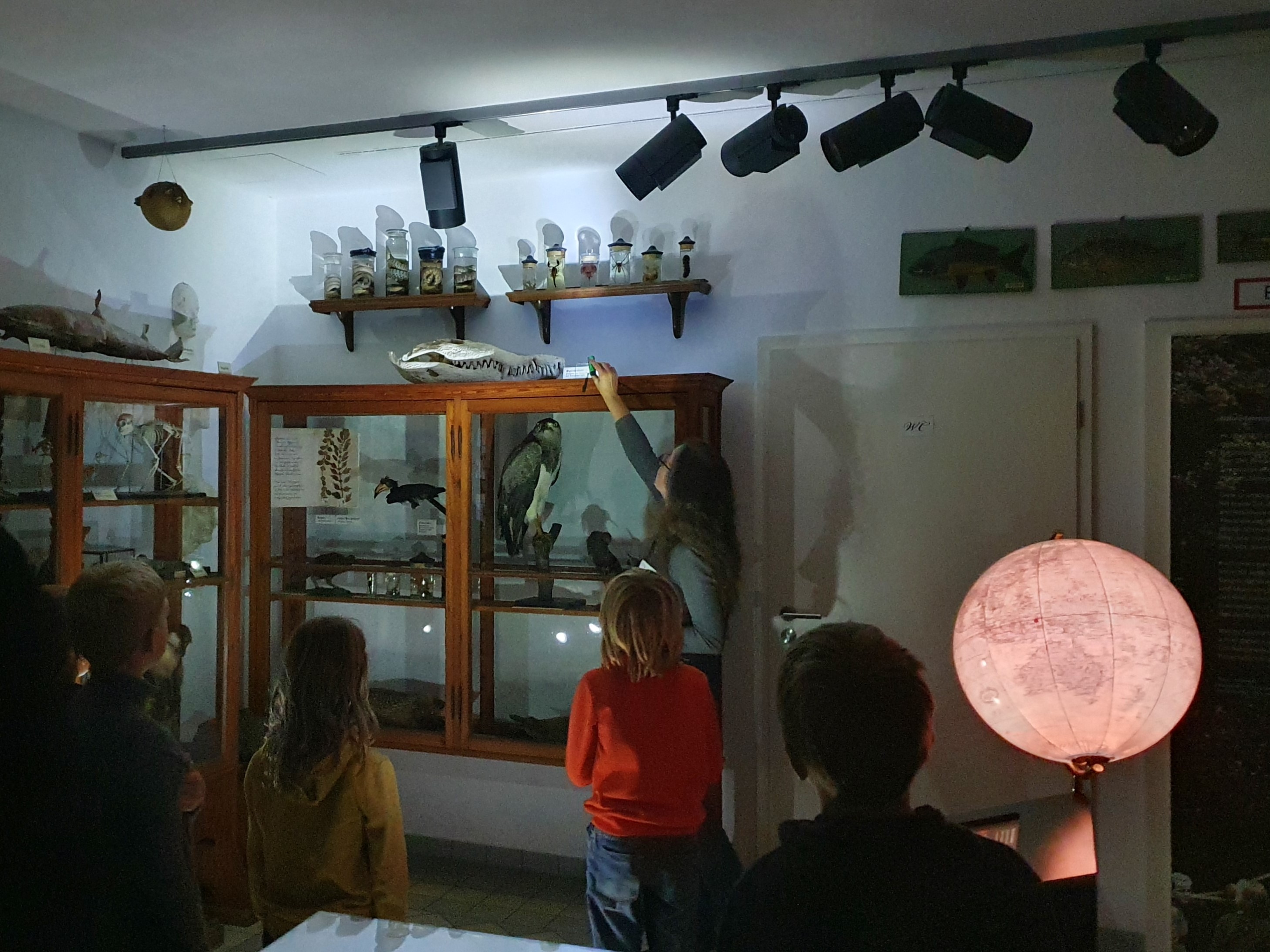 „Ich sehe was, was Du nicht siehst“ – Tiere im Dunkeln entdecken