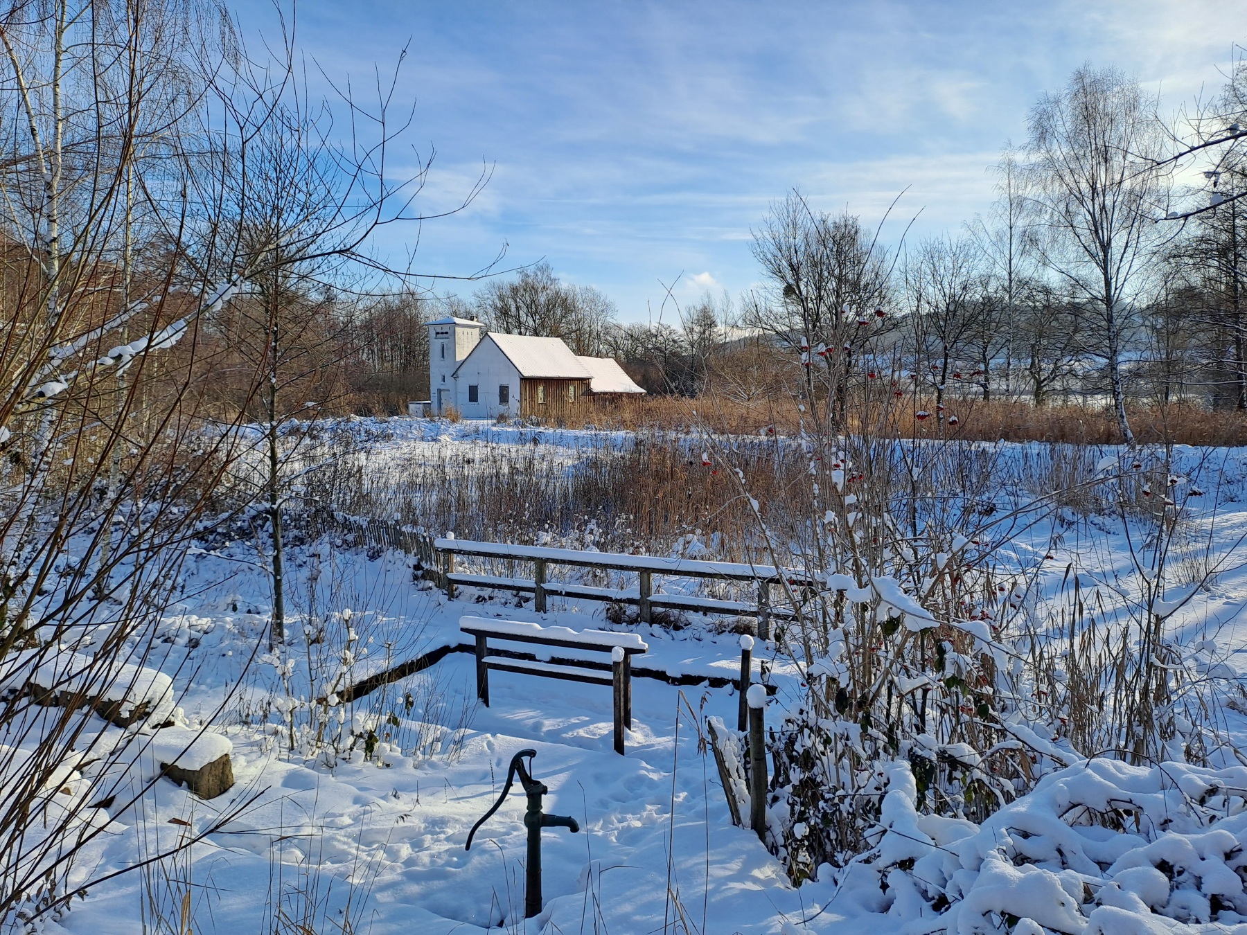 Geheimnisvolles Moor öffnet seine Tore: Naturerlebnis „Stinkebrink“ hautnah