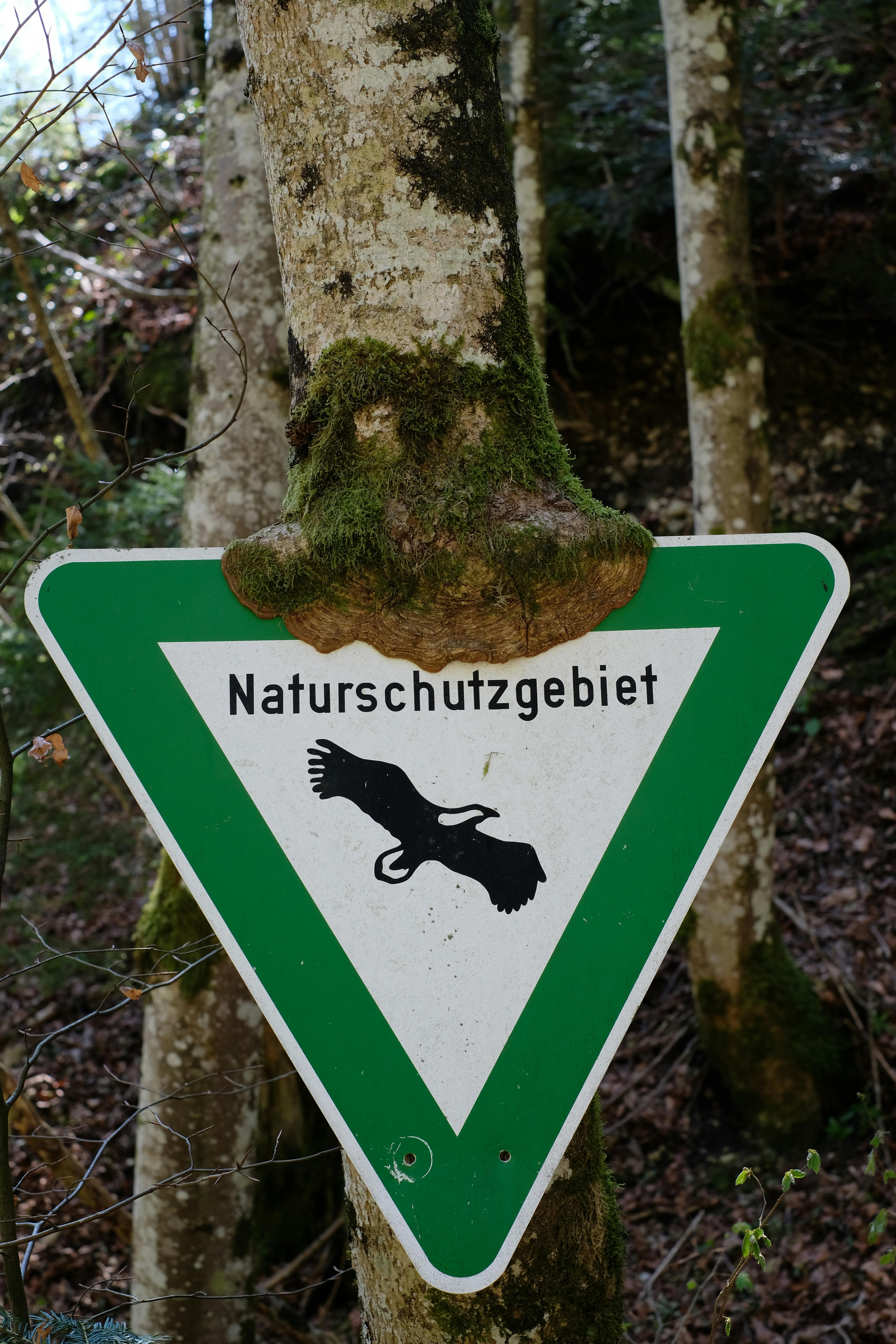 Umfangreiche Pflegemaßnahmen im Naturschutzgebiet Biesterberg   