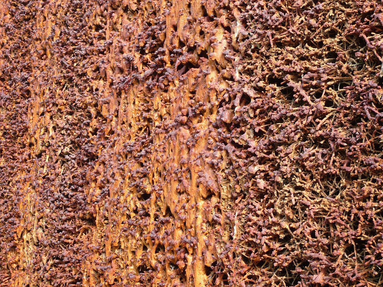 Rückbau des Uhrenturmgradierwerks startet – Lemgo Radio