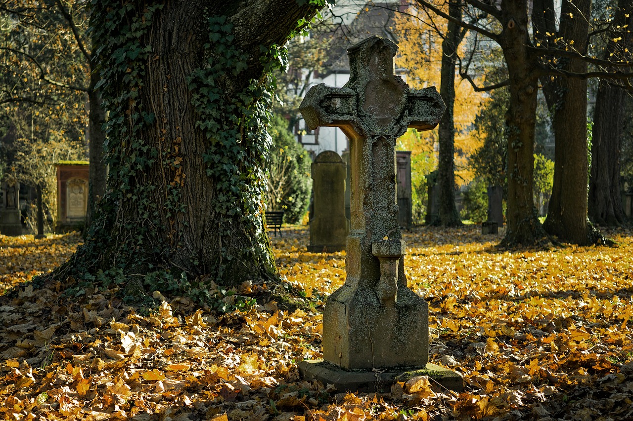 Verwüstung und Diebstähle auf dem Friedhof – Lemgo Radio