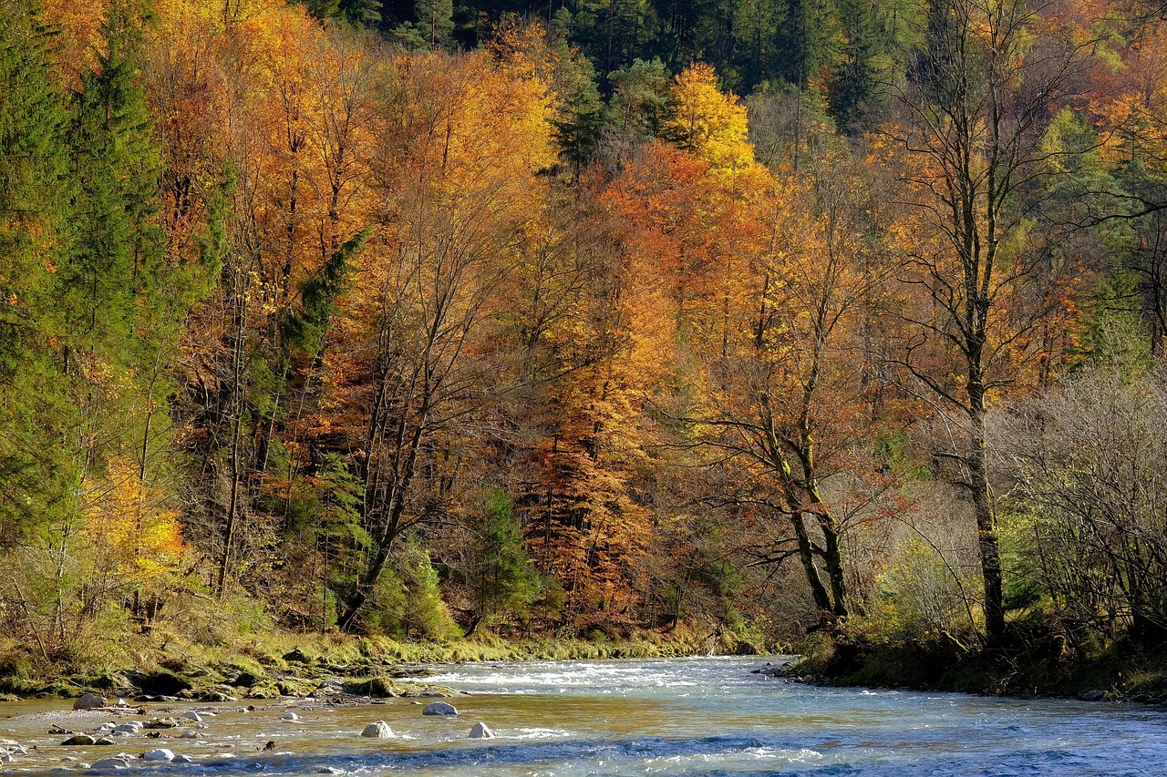 Kreis Lippe startet Gewässerschau 2026 - Bürger können mitgehen
