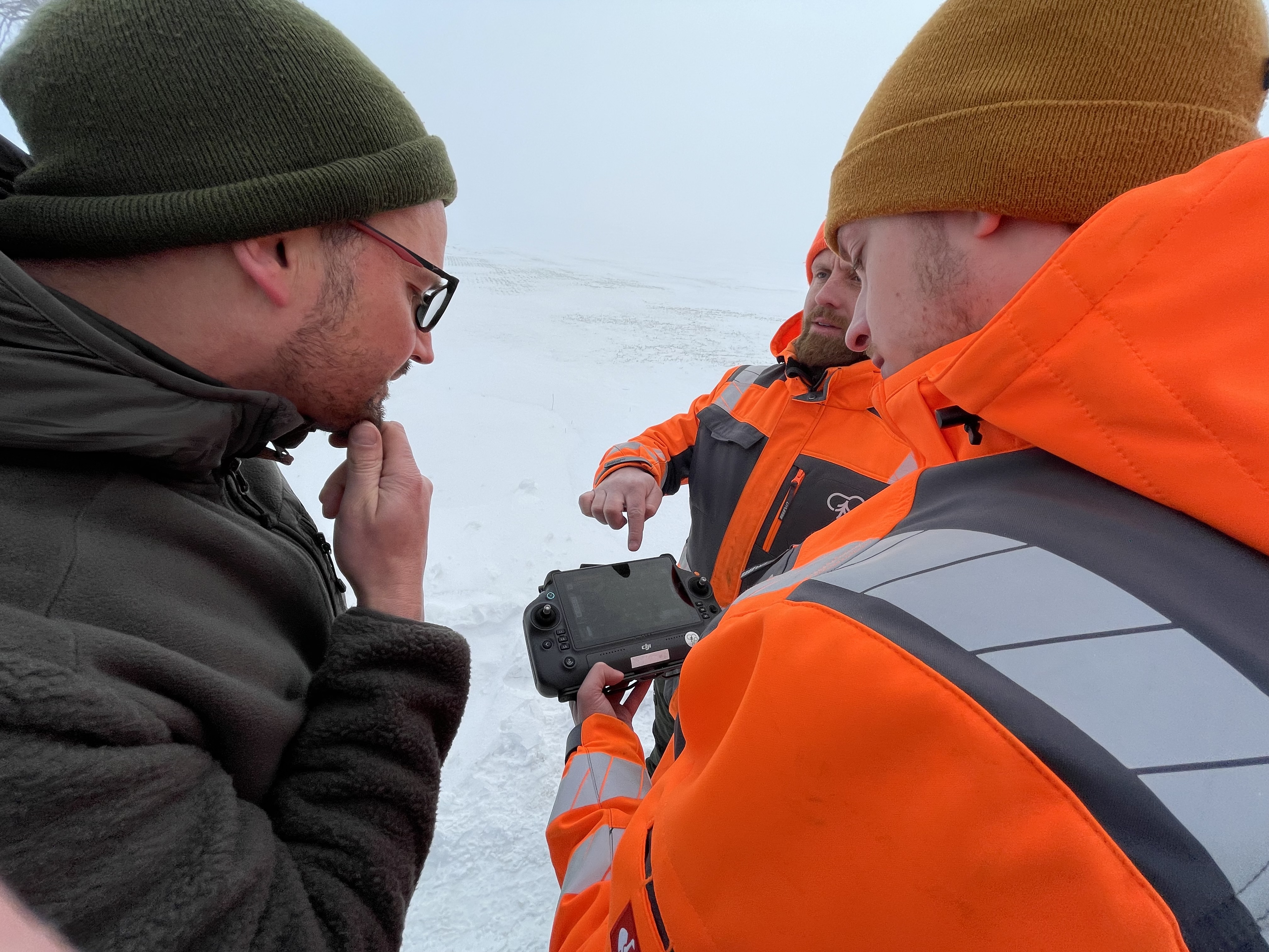 Rehe, Wildschweine und eine Wildkatze im Stadtwald – Lemgo Radio