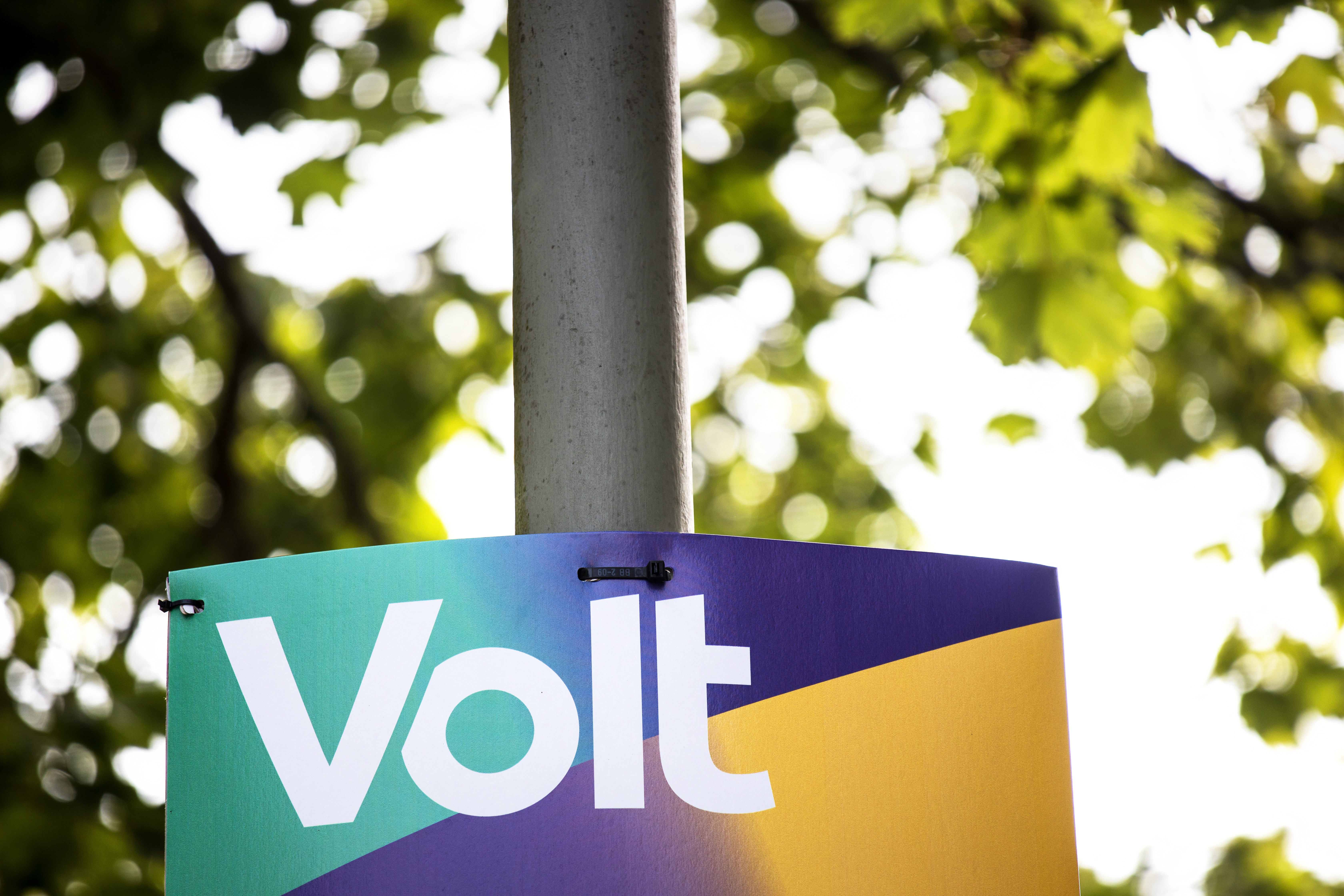 Nach AfD-Kritik: Jetzt meldet sich auch Volt zu Wort – klare Position für Inklusion